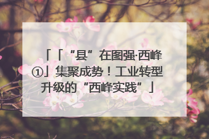 「“县”在图强·西峰①」集聚成势！工业转型升级的“西峰实践”