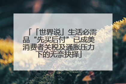 「世界说」生活必需品“先买后付”已成美消费者关税及通胀压力下的无奈抉择