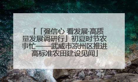 「强信心 看发展·高质量发展调研行」初夏时节农事忙——武威市凉州区推进高标准农田建设见闻