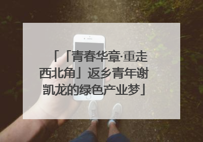 「青春华章·重走西北角」返乡青年谢凯龙的绿色产业梦