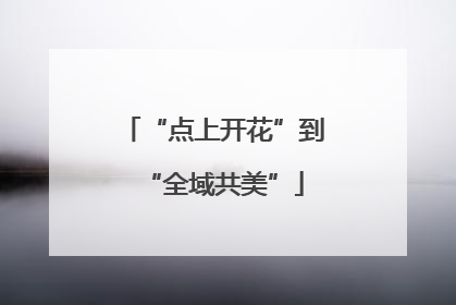 “点上开花”到“全域共美”