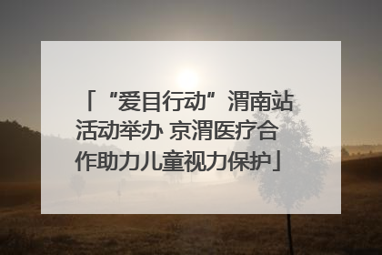 “爱目行动”渭南站活动举办 京渭医疗合作助力儿童视力保护