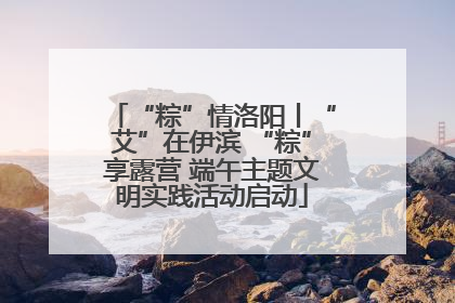 “粽”情洛阳丨“艾”在伊滨 “粽”享露营 端午主题文明实践活动启动