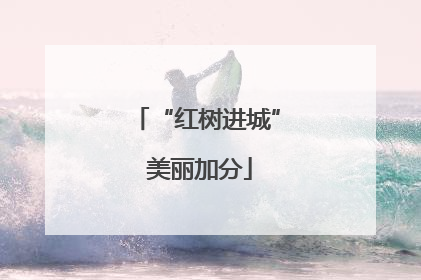 “红树进城” 美丽加分