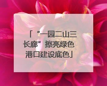 “一园二山三长廊”擦亮绿色港口建设底色