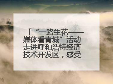“一路生花——媒体看青城”活动走进呼和浩特经济技术开发区，感受发展新动能