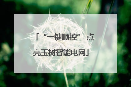 “一键顺控” 点亮玉树智能电网