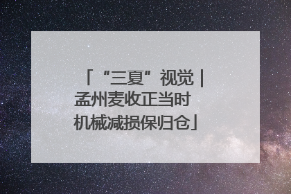 “三夏”视觉｜孟州麦收正当时 机械减损保归仓