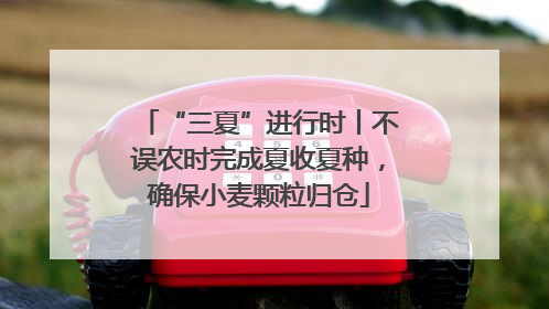 “三夏”进行时丨不误农时完成夏收夏种，确保小麦颗粒归仓