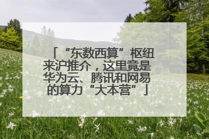 “东数西算”枢纽来沪推介，这里竟是华为云、腾讯和网易的算力“大本营”