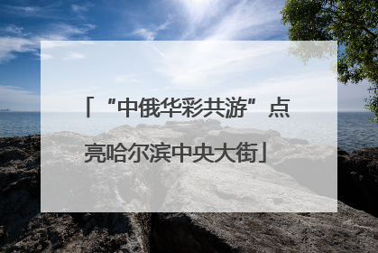 “中俄华彩共游”点亮哈尔滨中央大街