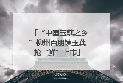 “中国玉藕之乡”柳州百朋镇玉藕抢“鲜”上市