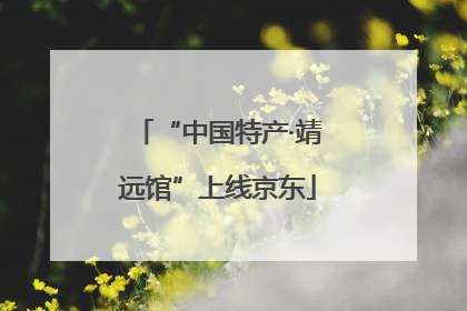 “中国特产·靖远馆”上线京东