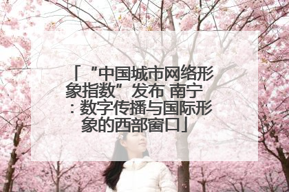 “中国城市网络形象指数”发布 南宁：数字传播与国际形象的西部窗口