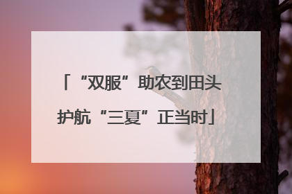 “双服”助农到田头 护航“三夏”正当时
