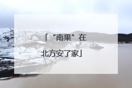 “南果”在北方安了家