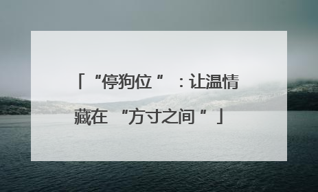 “停狗位 ”：让温情藏在 “方寸之间 ”