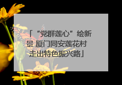 “党群莲心”绘新景 厦门同安莲花村走出特色振兴路