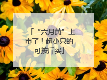 “六月黄”上市了！超小只的可按斤买