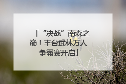 “决战”南森之巅！丰台武林万人争霸赛开启