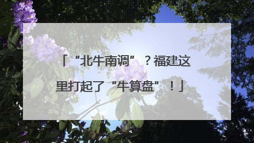 “北牛南调”？福建这里打起了“牛算盘”！