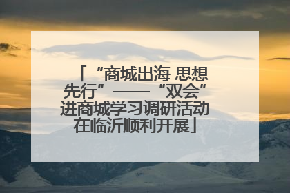 “商城出海 思想先行”——“双会”进商城学习调研活动在临沂顺利开展