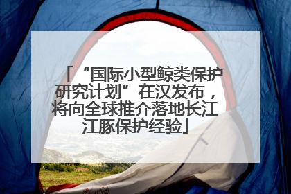 “国际小型鲸类保护研究计划”在汉发布，将向全球推介落地长江江豚保护经验