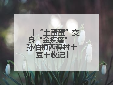 “土蛋蛋”变身“金疙瘩”：孙伯镇西程村土豆丰收记