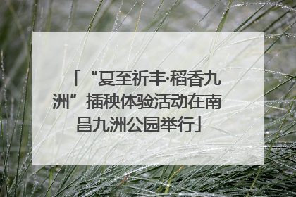 “夏至祈丰·稻香九洲”插秧体验活动在南昌九洲公园举行