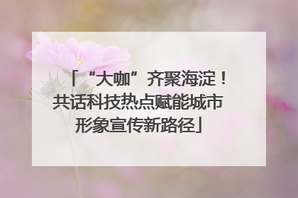 “大咖”齐聚海淀！共话科技热点赋能城市形象宣传新路径