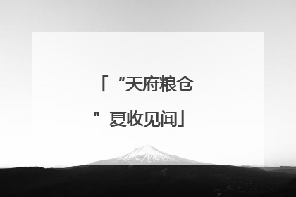 “天府粮仓”夏收见闻