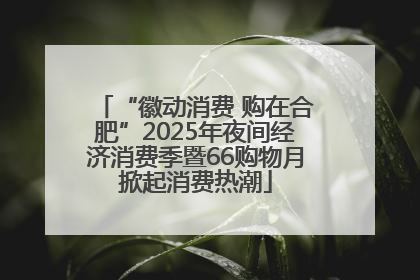 “徽动消费 购在合肥”2025年夜间经济消费季暨66购物月掀起消费热潮