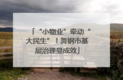 “小物业”牵动“大民生”！舞钢市基层治理显成效