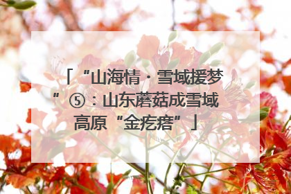“山海情・雪域援梦”⑤：山东蘑菇成雪域高原“金疙瘩”