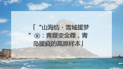 “山海情・雪域援梦”⑧：青稞变金稞，青岛援藏的高原样本