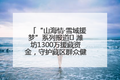“山海情·雪域援梦”系列报道⑪ 潍坊1300万援藏资金，守护藏区群众健康“最后一公里”