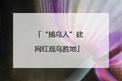 “捕鸟人”建网红观鸟胜地