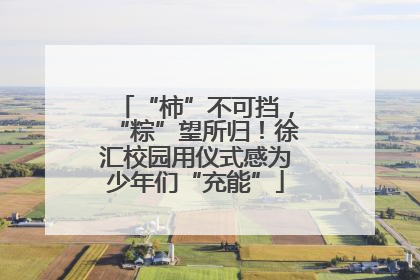 “柿”不可挡，“粽”望所归！徐汇校园用仪式感为少年们“充能”