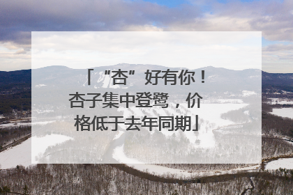 “杏”好有你！杏子集中登鹭，价格低于去年同期