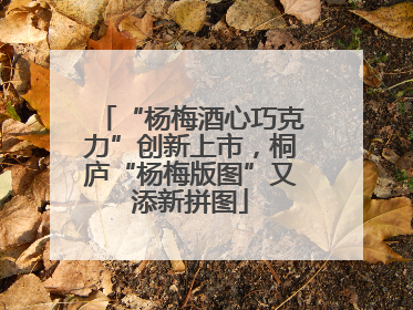 “杨梅酒心巧克力”创新上市，桐庐“杨梅版图”又添新拼图