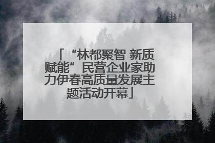 “林都聚智 新质赋能”民营企业家助力伊春高质量发展主题活动开幕