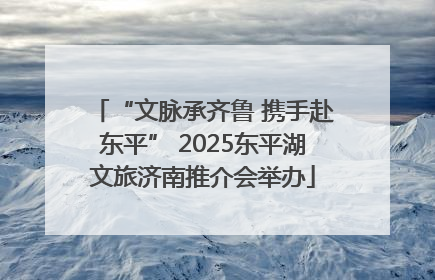 “文脉承齐鲁 携手赴东平” 2025东平湖文旅济南推介会举办