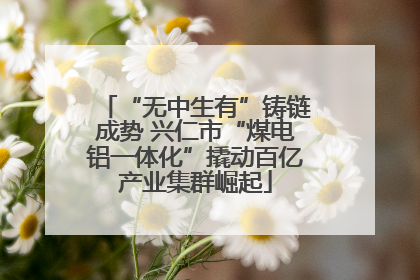 “无中生有”铸链成势 兴仁市“煤电铝一体化”撬动百亿产业集群崛起