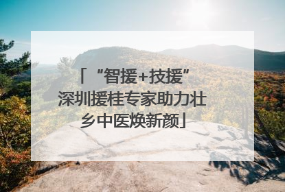 “智援+技援” 深圳援桂专家助力壮乡中医焕新颜