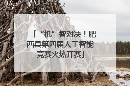 “机”智对决！肥西县第四届人工智能竞赛火热开赛