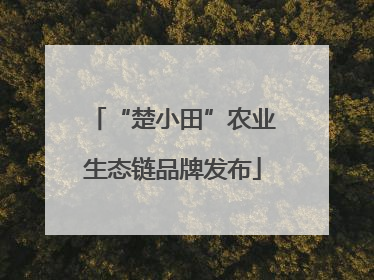 “楚小田”农业生态链品牌发布