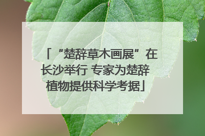 “楚辞草木画展”在长沙举行 专家为楚辞植物提供科学考据
