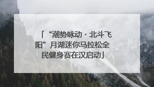 “潮势咏动・北斗飞阳”月湖迷你马拉松全民健身赛在汉启动