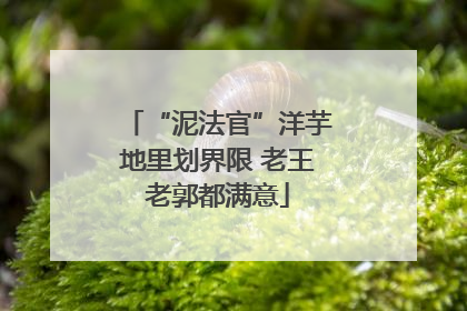 “泥法官”洋芋地里划界限 老王老郭都满意