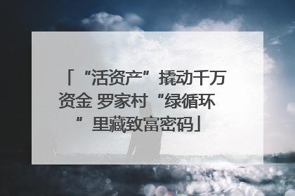 “活资产”撬动千万资金 罗家村“绿循环”里藏致富密码